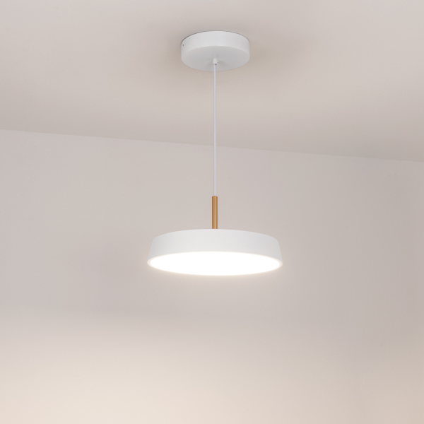 Подвесной светильник Arlight SP-Elegant-R300-17W Day4000 033919