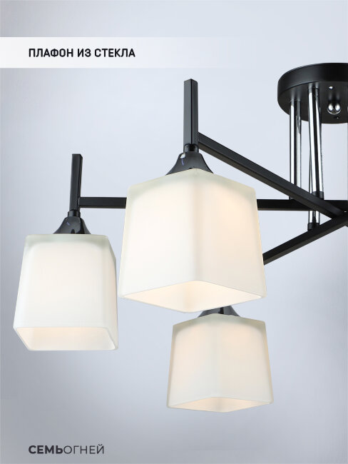 Потолочная люстра Wedo Light Semel WD3640/6C-BK-CR-WT