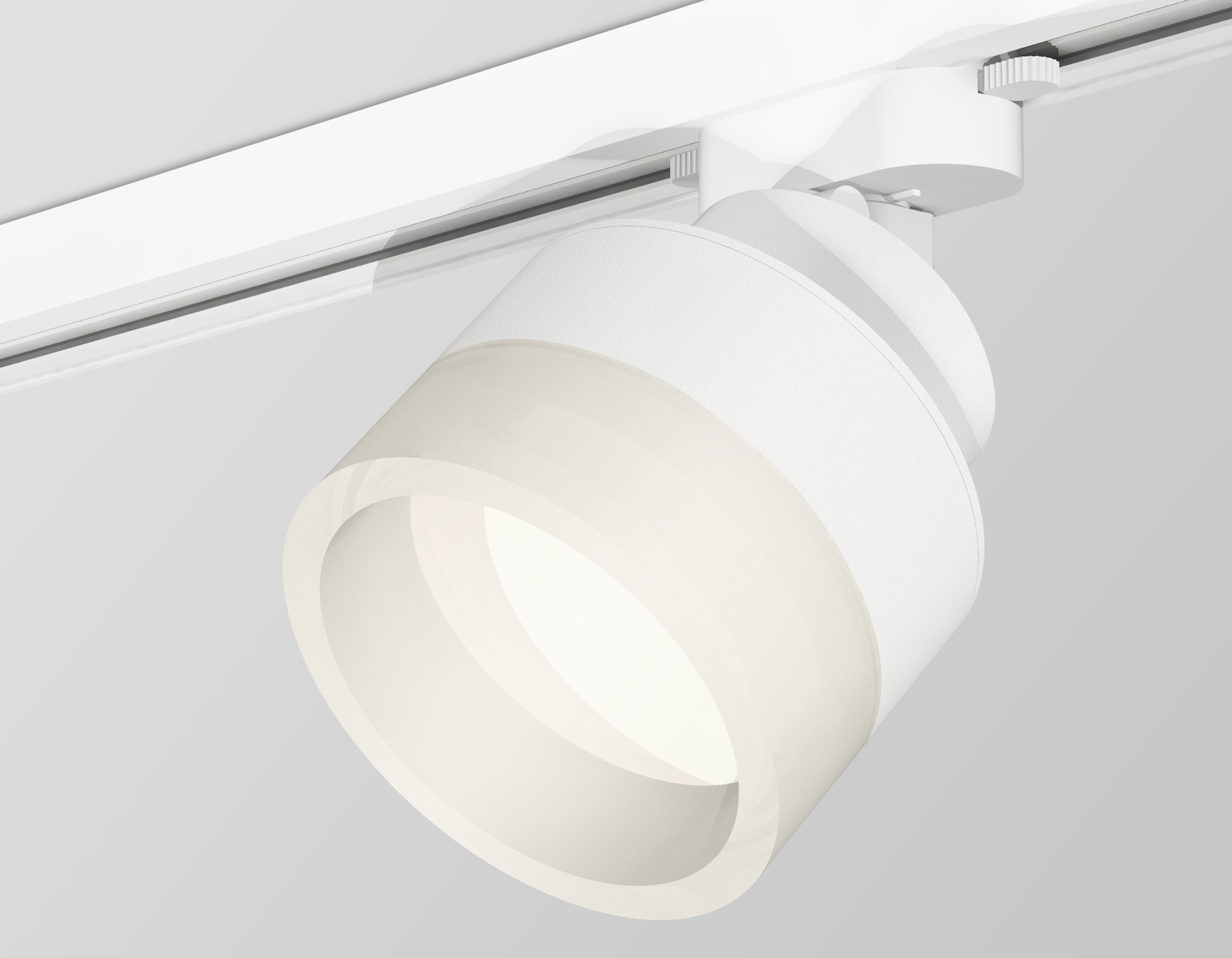 Трековый светильник Ambrella Light Track System XT8101020 (A2524, A2105, C8101, N8401)