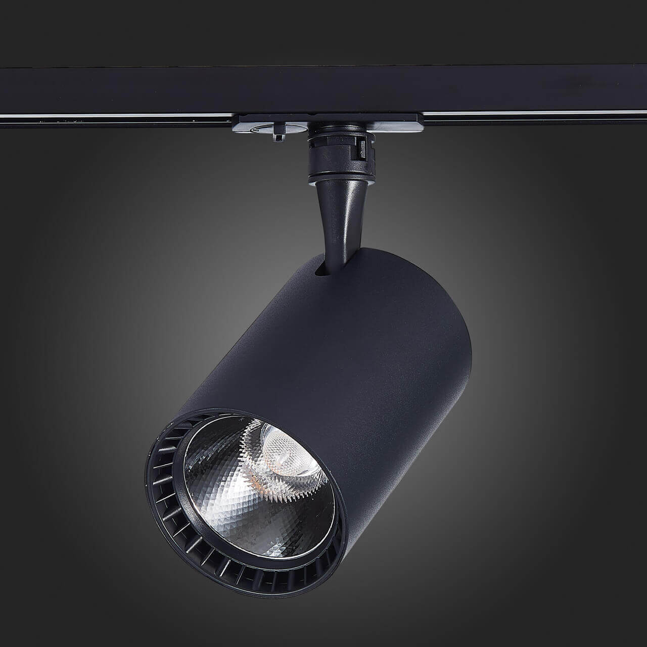 Трековый светильник ST LUCE CAMI ST351.436.20.36