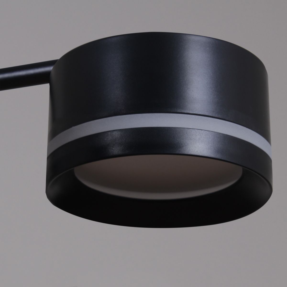 Потолочная люстра Reluce 19490-0.4-4+4 Black