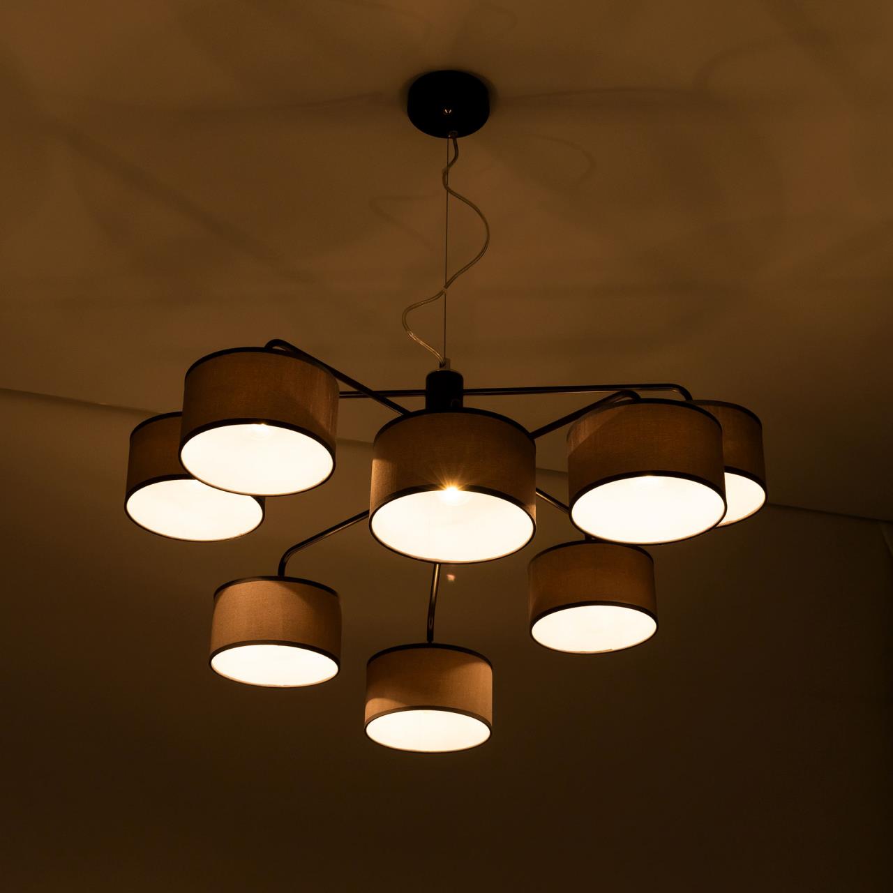 Подвесная люстра Citilux Форма CL428281 в Москве