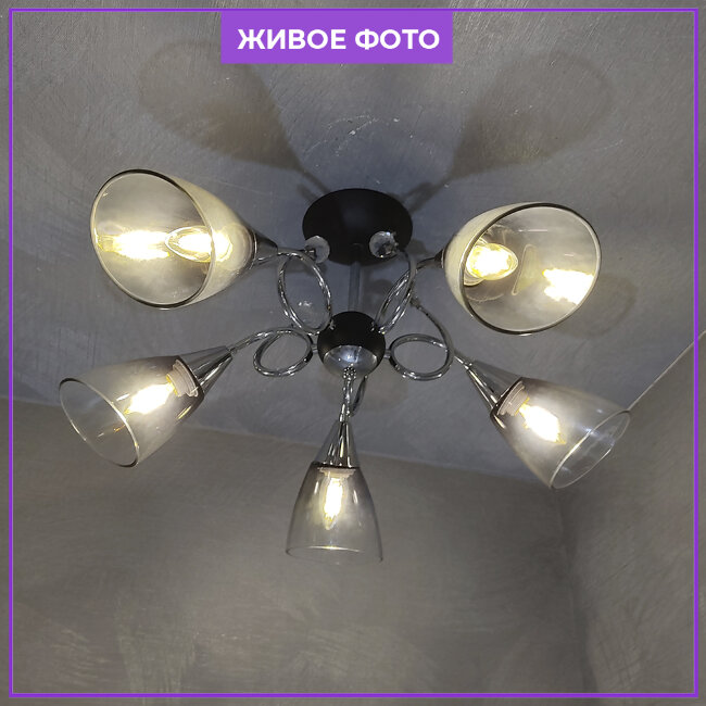 Люстра на штанге Wedo Light Merita 66727.01.13.05