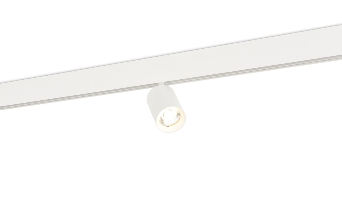 Трековый светильник Donolux Alpha DL20295WW15WDIM