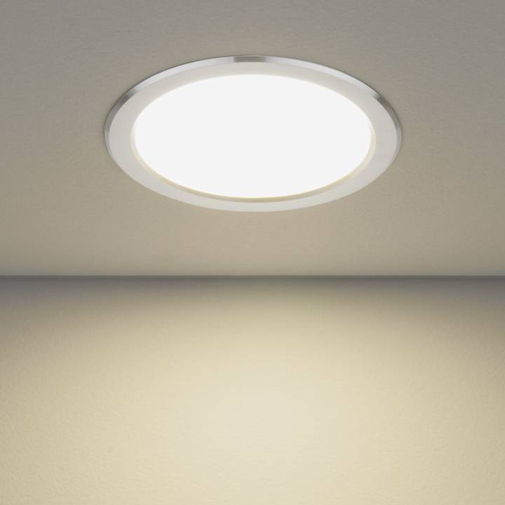 Вcтраиваемый светильник Elektrostandard Down Light 4690389055348