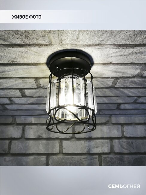 Потолочный светильник Wedo Light Beteni WD3567/1C-BK-CL