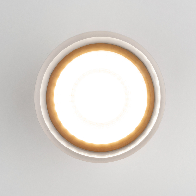 Уличный потолочный светильник Elektrostandard Light LED 4690389177958