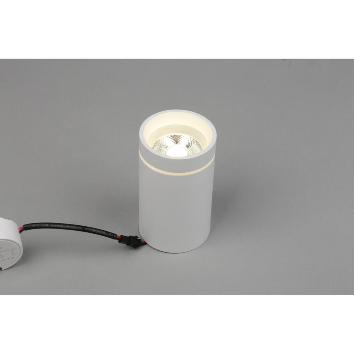 Потолочный светильник Aployt Edda APL.0054.09.10