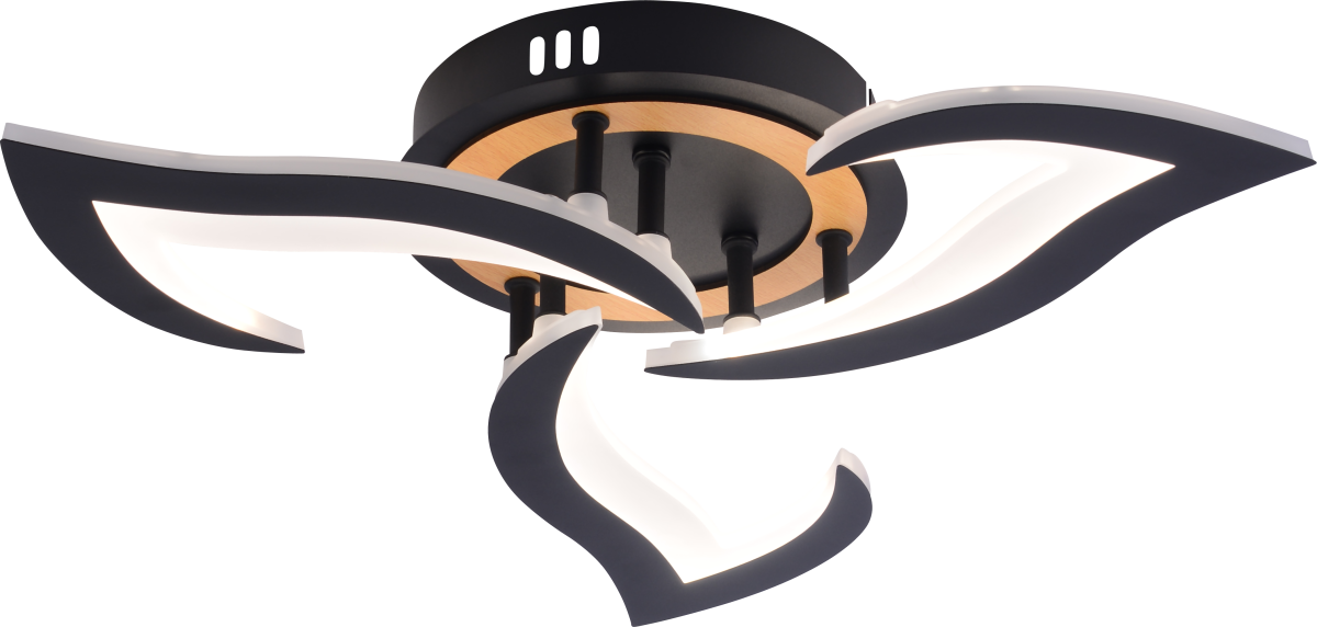 Потолочный светильник Rivoli Cassandra 6194-703 Б0070140