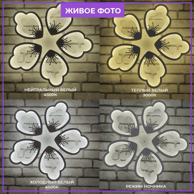 Потолочная люстра Wedo Light Granyano 75389.01.09.05