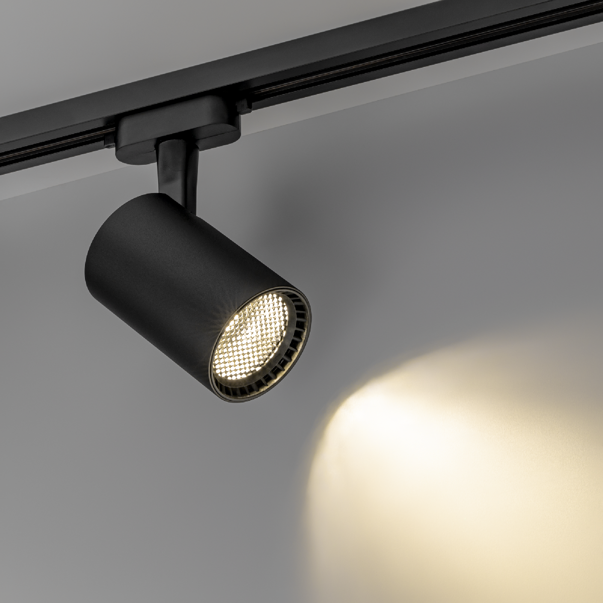 Трековый однофазный светильник Ritter Artline 59735 7