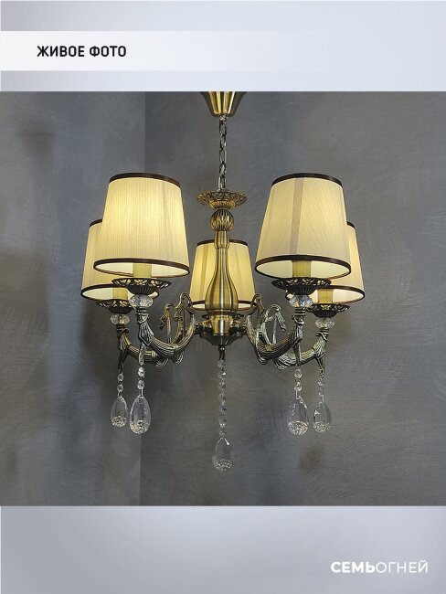 Подвесная люстра Wedo Light Sejnt WD3517/5H-AB-BG