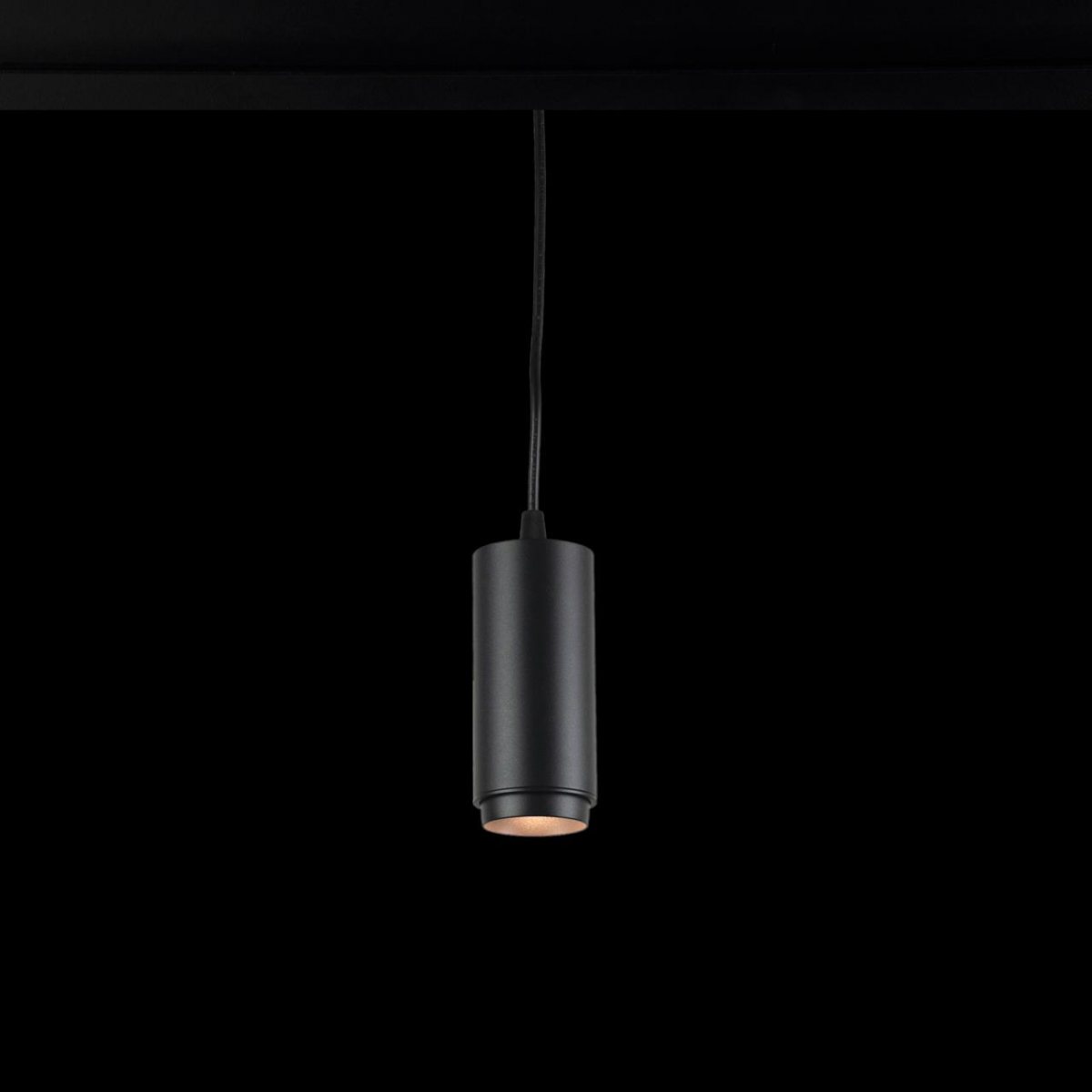 Трековый светильник Loft IT Tech T046-06P