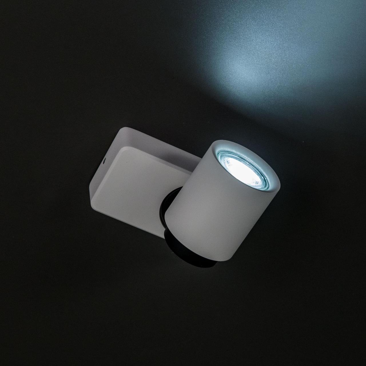 Спот Citilux Норман CL533510 в Москве