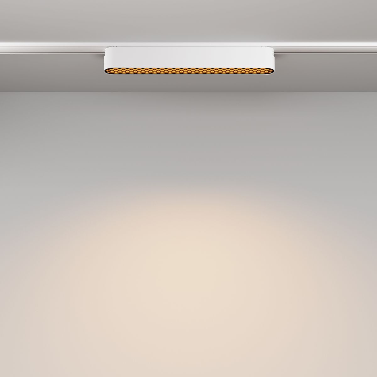 Трековый магнитный светильник Maytoni Basis Grid TR084-1-12W3K-W