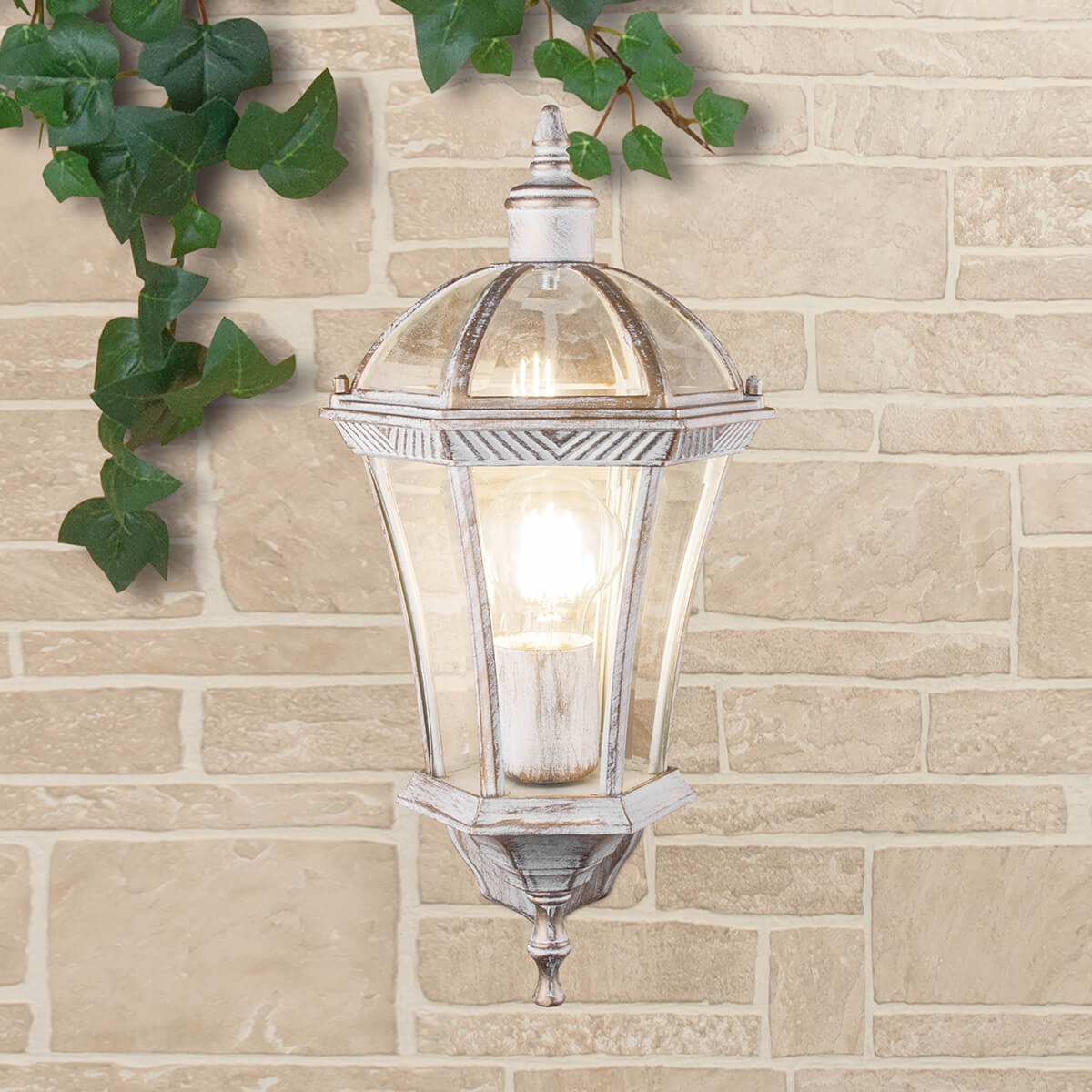 Уличный настенный светильник Elektrostandard Capella 4690389038310