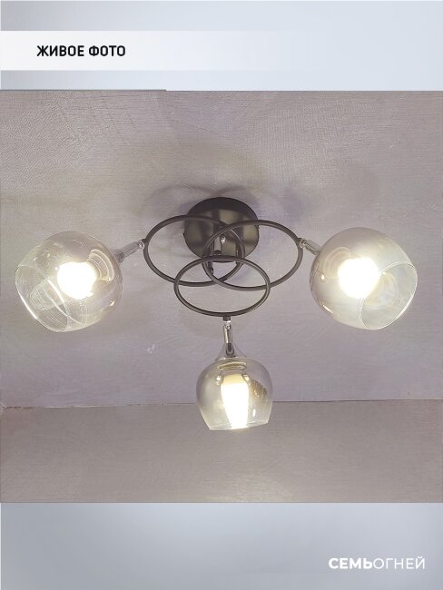 Потолочная люстра Wedo Light Vitero 66666.01.13.03