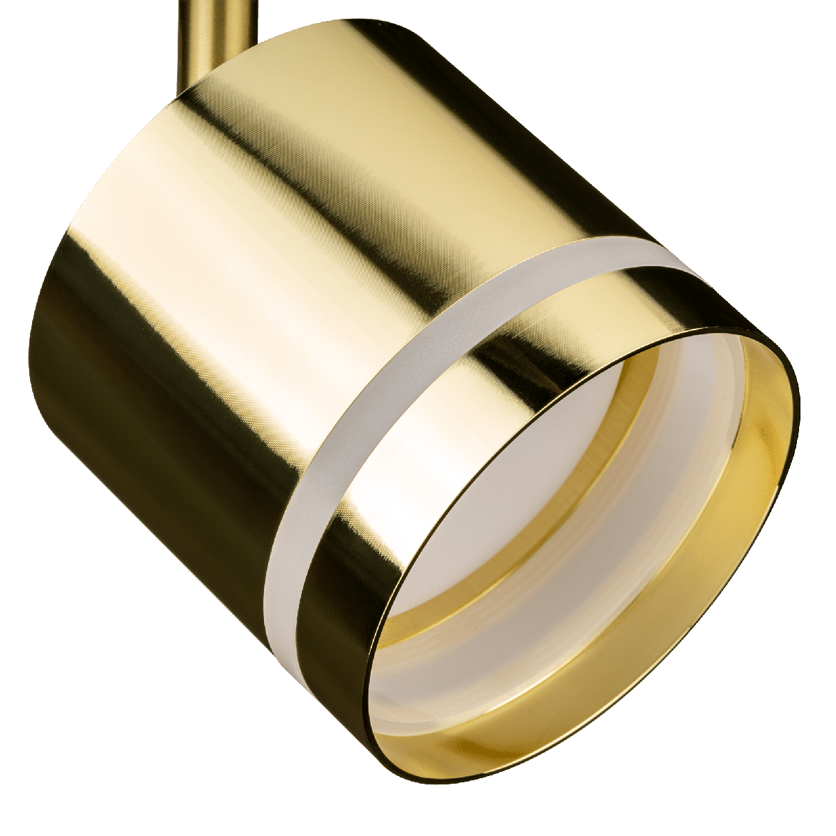 Трековый однофазный светильник Ritter Artline 59868 2