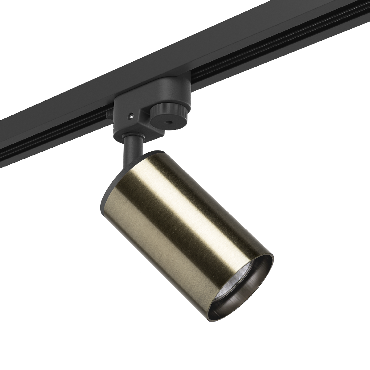 Трековый светильник Lightstar Rullo R1T431 (214431+592057)