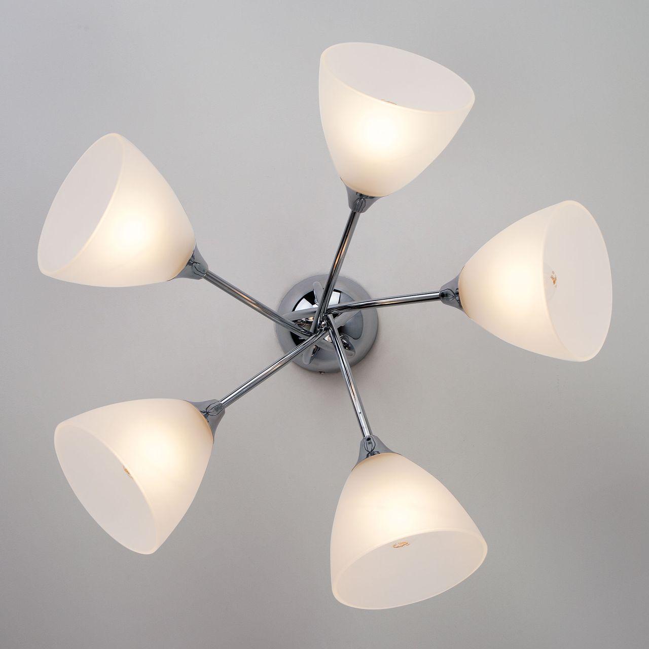 Потолочная люстра Eurosvet Nika 30117/5 хром