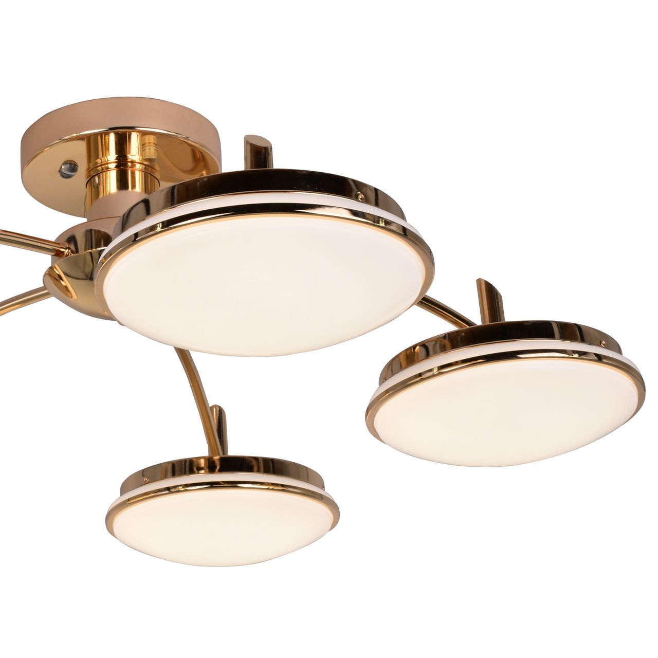 Потолочная светодиодная люстра F-Promo Ledante 2473-5P