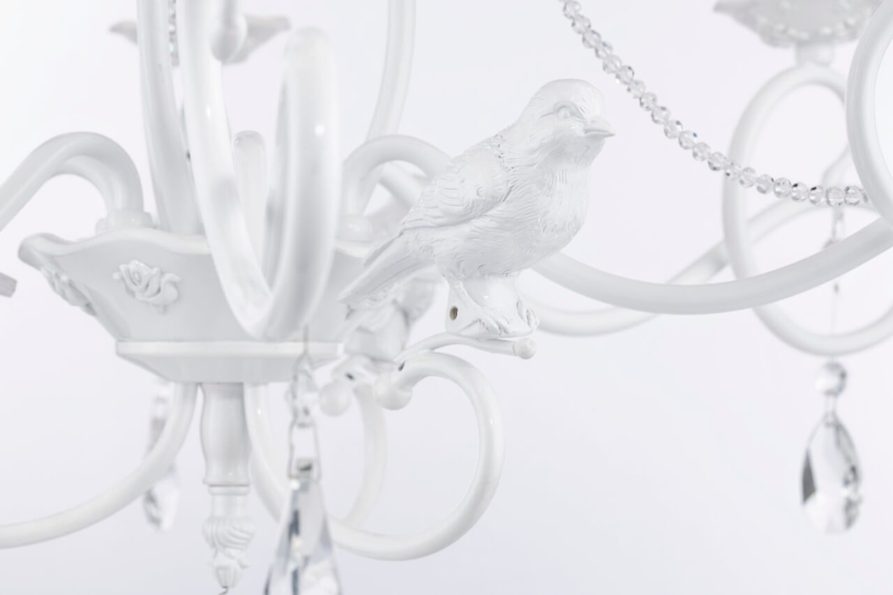 Подвесная люстра Maytoni Passarinho ARM001-06-W