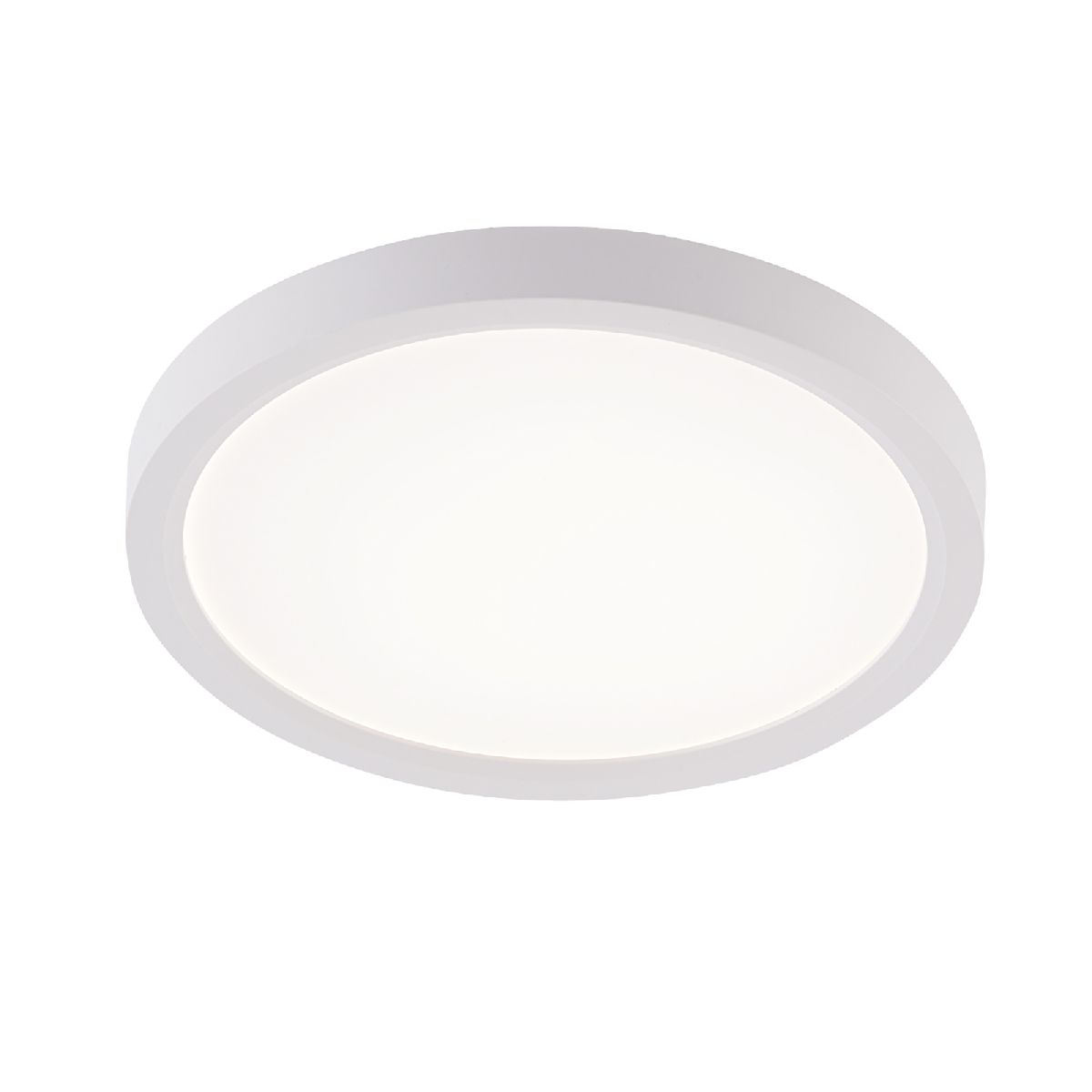 Потолочный светильник Natali Kovaltseva Plain LED LAMPS 81113/1C