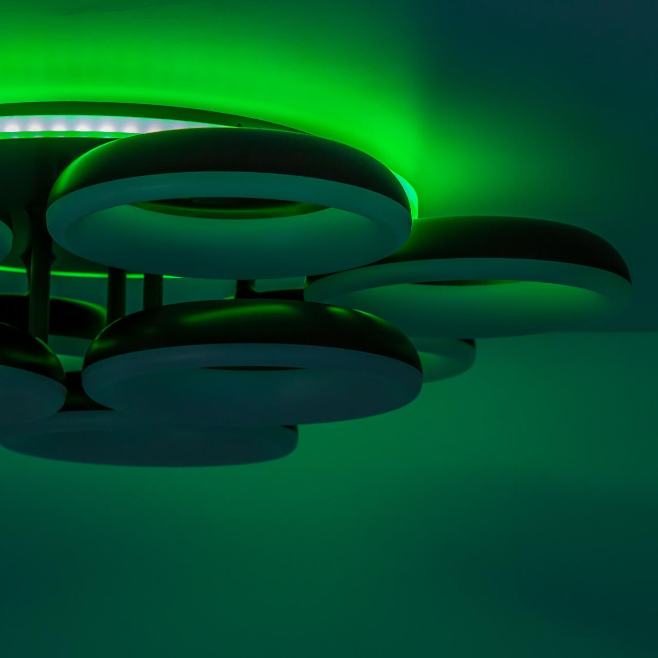 Потолочная люстра Citilux Паркер Смарт CL225A195E в Москве