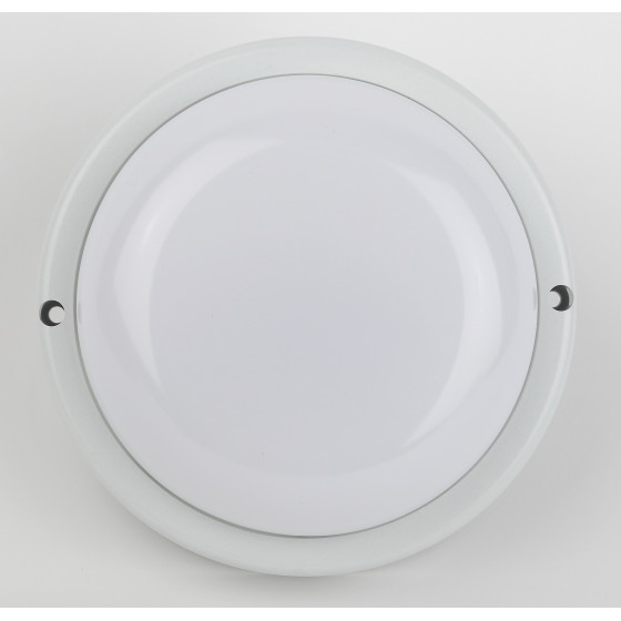 Настенно-потолочный светильник Эра SPB-201-2-40K-018 Б0054581