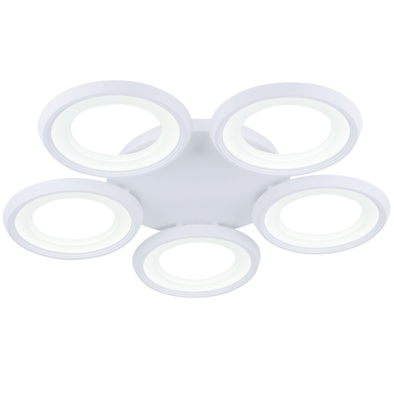 Потолочный светодиодный светильник Freya Blis FR6010CL-L82W