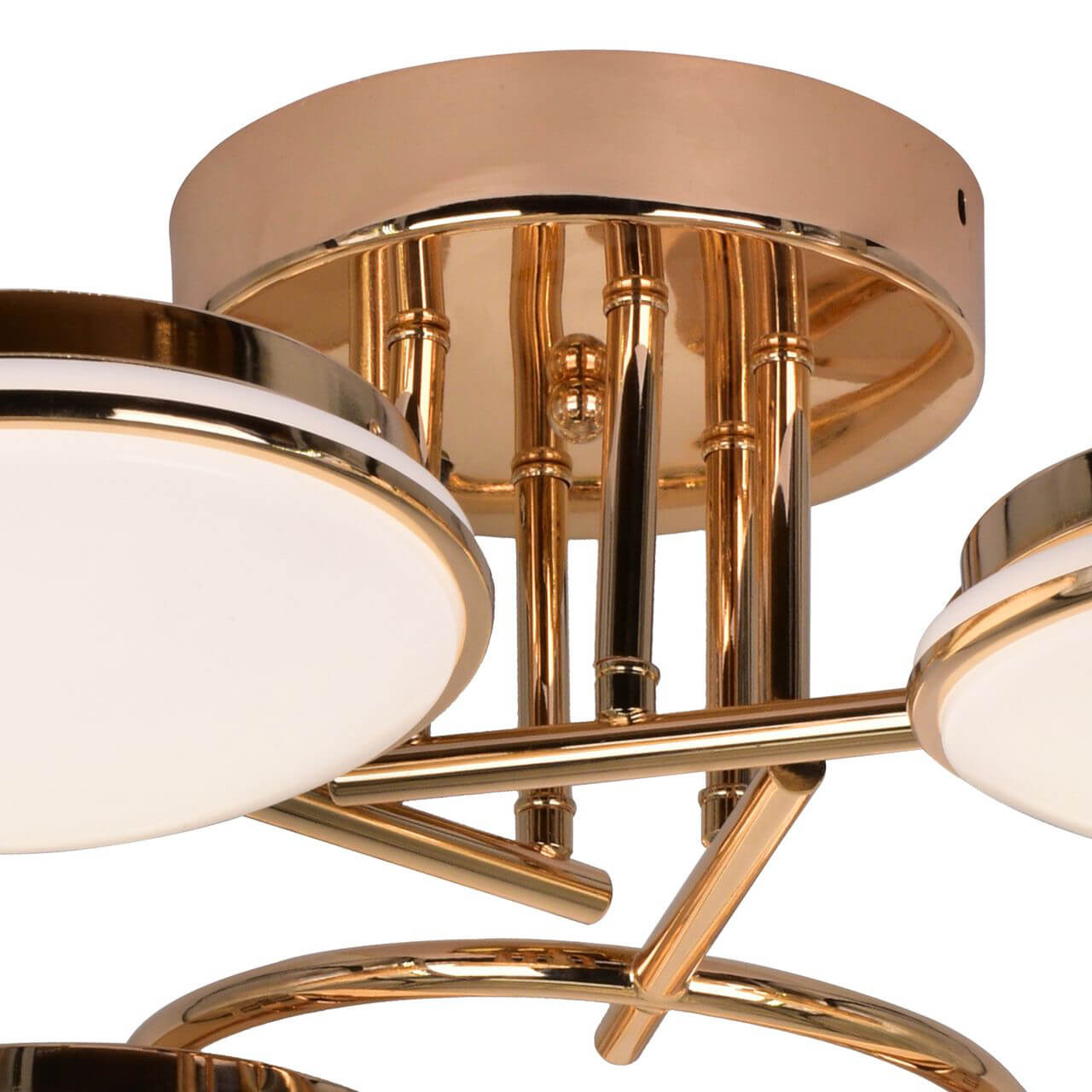 Потолочная светодиодная люстра F-Promo Ledante 2477-6U