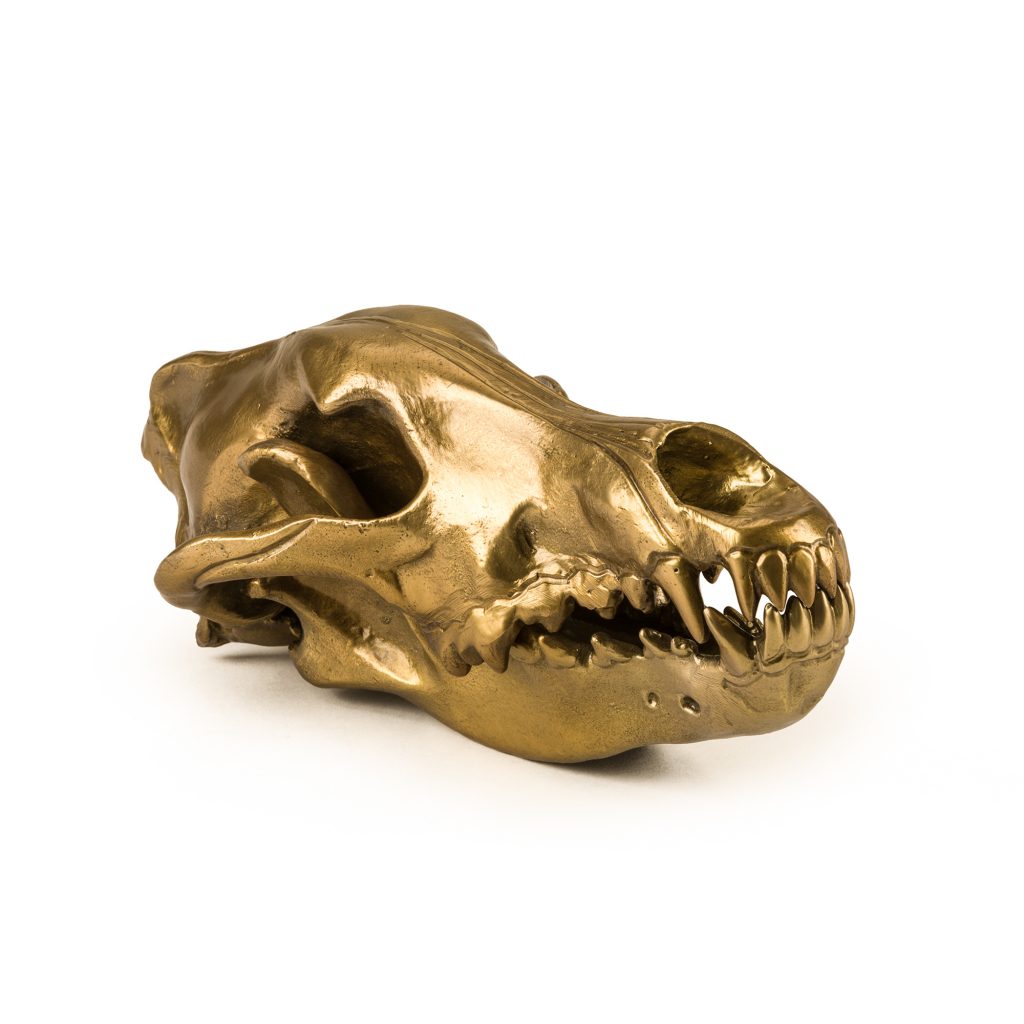 Статуэтка Wolf Skull Seletti Wunderkammer 10892