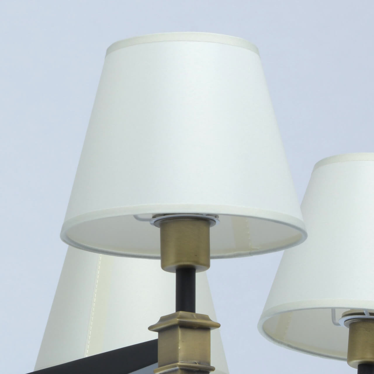 Потолочная люстра MW-Light ДельРей 700013408