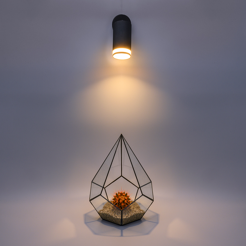 Спот Wolta Corallo WSL-GU10/04BL