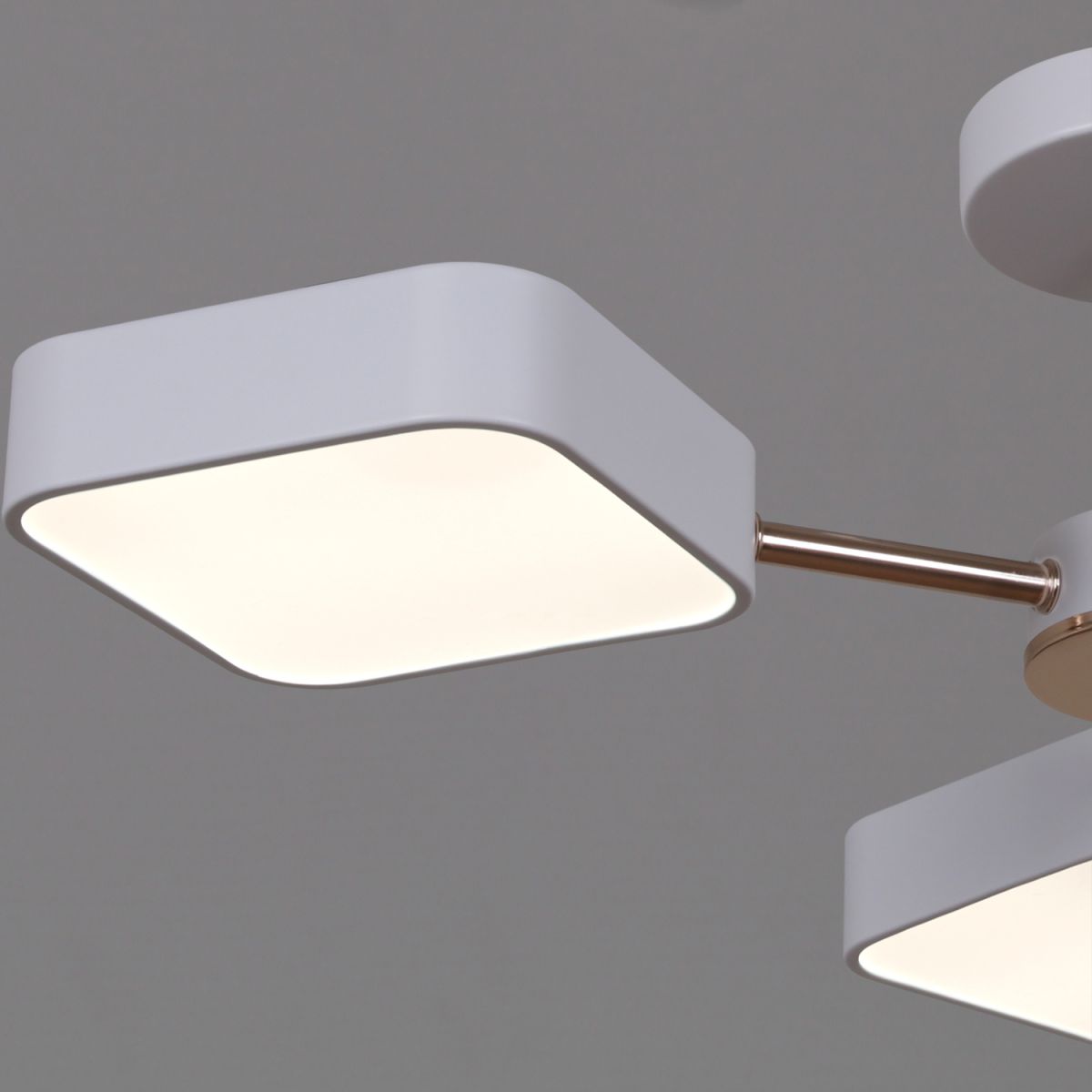 Люстра на штанге Reluce 03360-0.3-05 WH+FGD