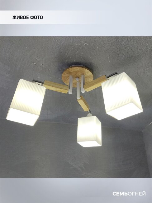 Потолочная люстра Wedo Light Melvill WD3505/3C-WT