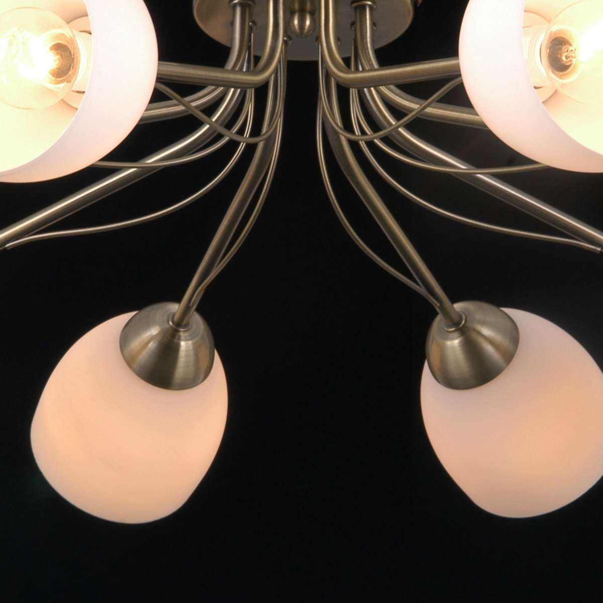 Потолочная люстра Illumico IL0333-8CSQ-79 AB