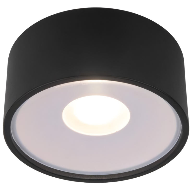 Уличный потолочный светильник Elektrostandard Light LED 35141/H черный 4690389180156 a057470