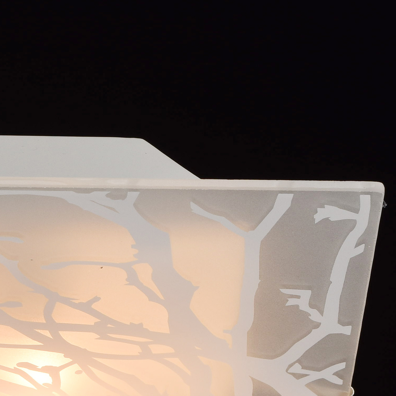 Потолочный светильник MW-Light Васто 368010702