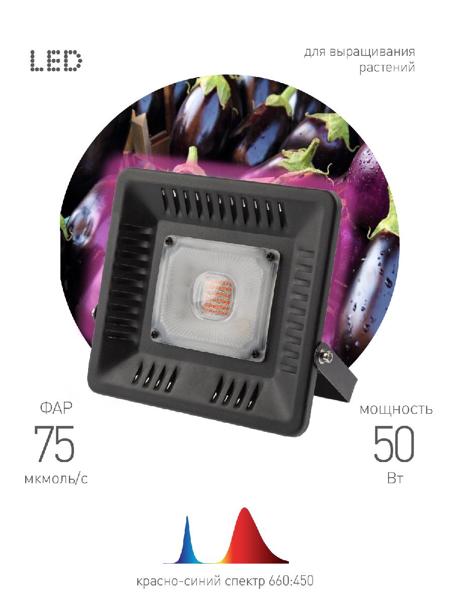 Фитопрожектор для растений Эра FITO-50W-LED-BLUERED Б0039033