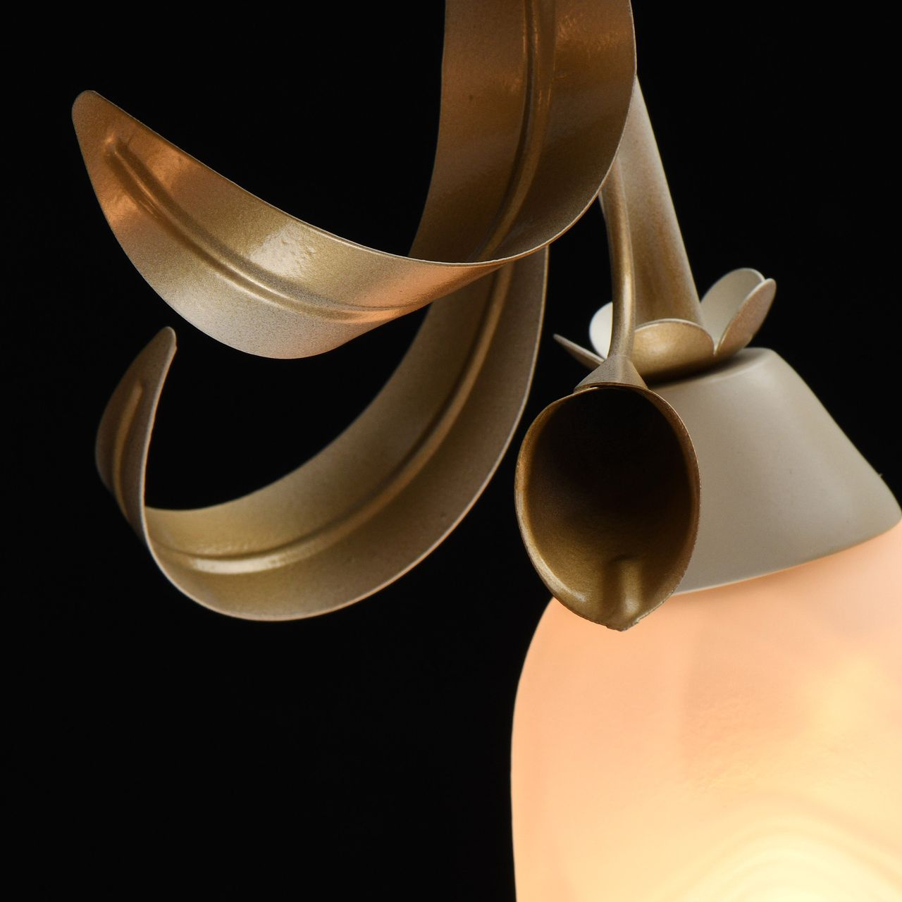 Потолочная люстра MW-Light Восторг 242017508