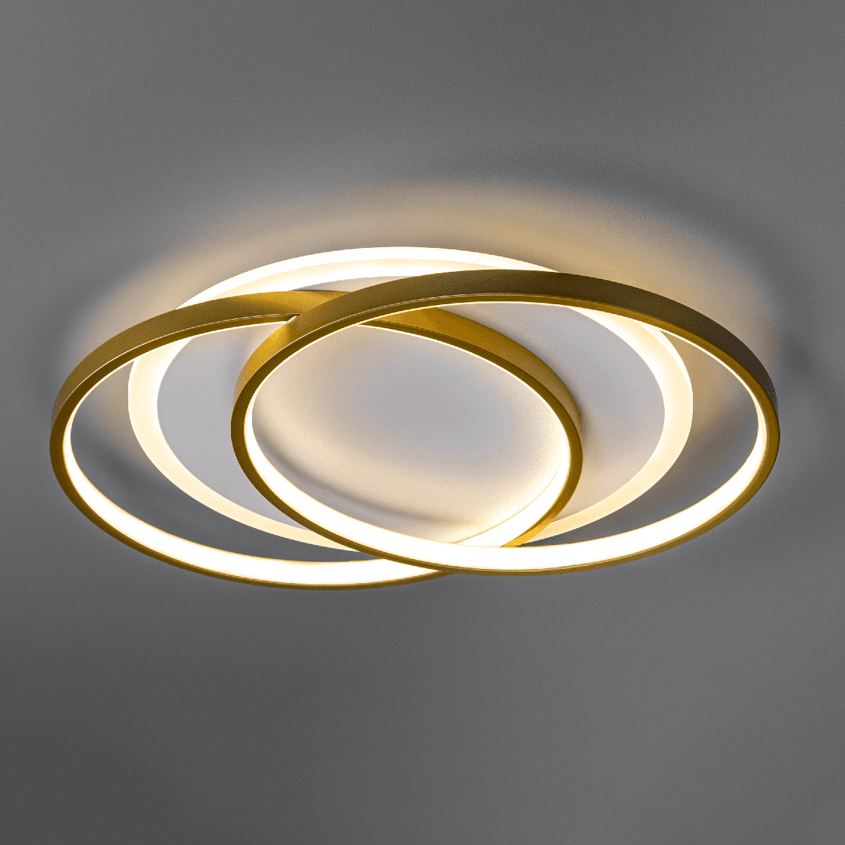 Потолочная люстра Ritter Snello 51624 2