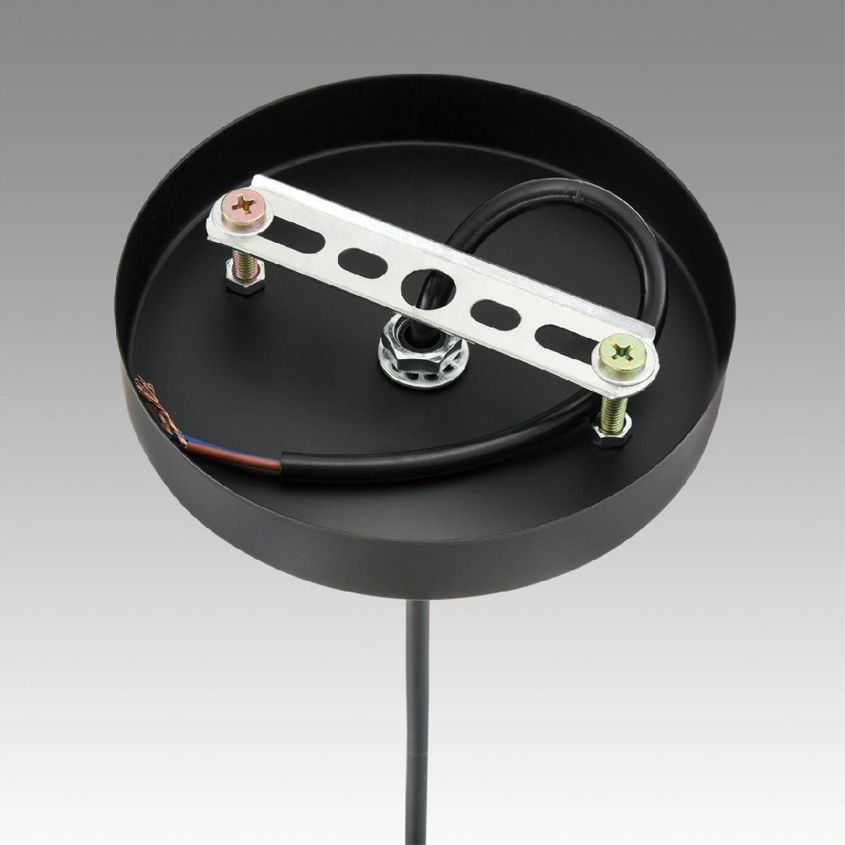 Подвесной светильник Lumion Suspentioni Elenika 8056/1A