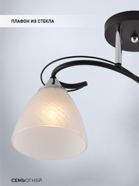 Потолочный светильник Seven Fires Nuala SF3372/2C-BK-CR-WT