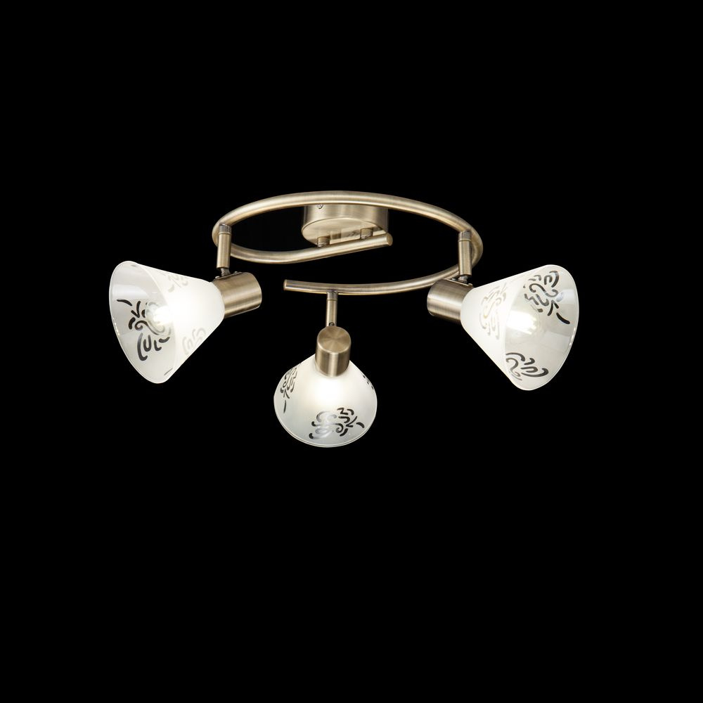 Спот Freya Paola FR7001CL-03BZ