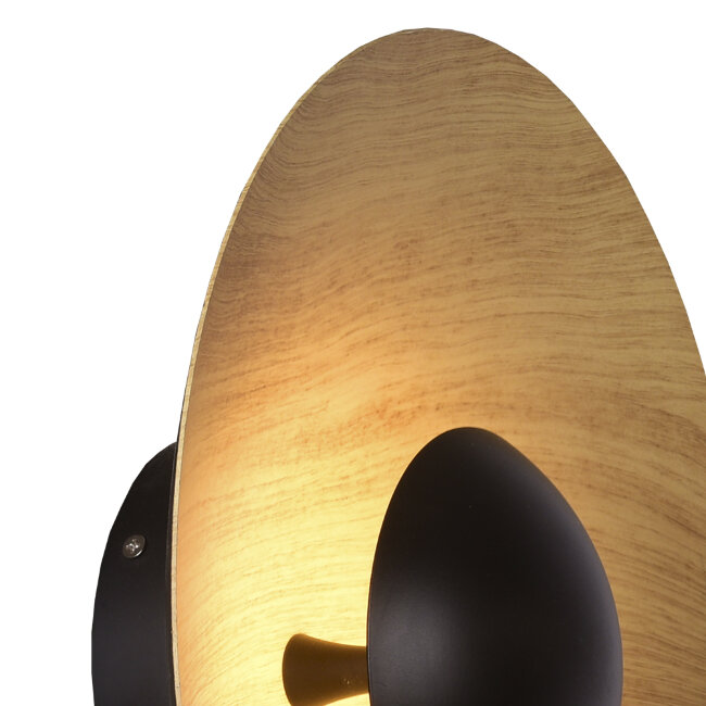 Настенный светильник Lumien Hall Arta 8007/1WM-WD