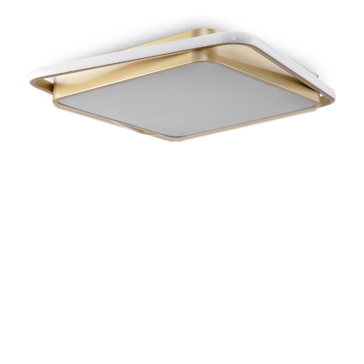 Потолочная люстра Freya Yaku FR10026CL-L93G