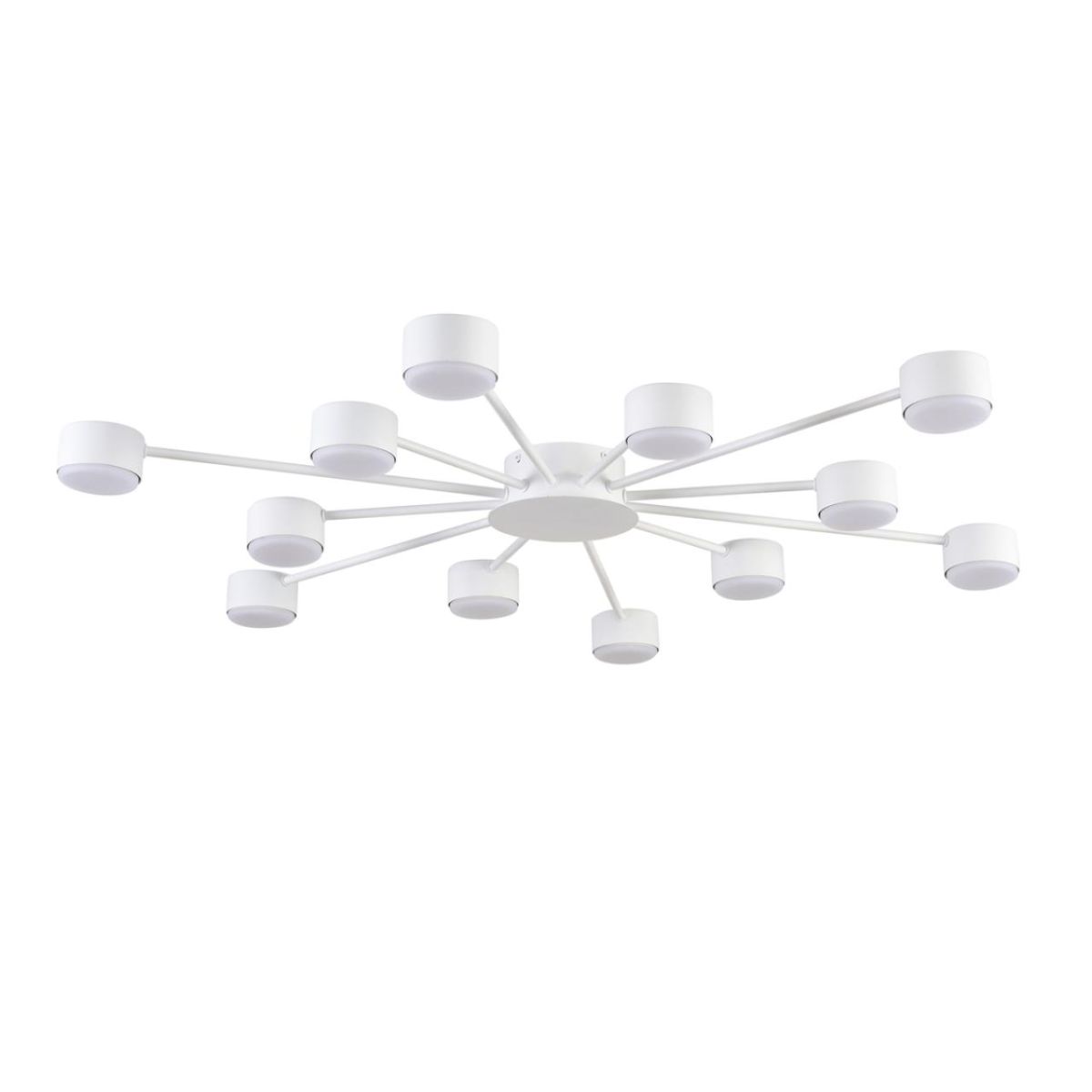 Потолочная люстра Lumion Comfi Torina 8343/12C