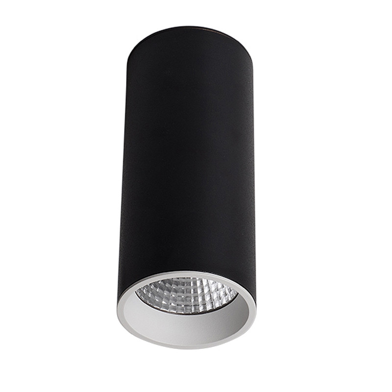 Влагозащищенный светильник LeDron SLC7392/12W-BW 00000014602