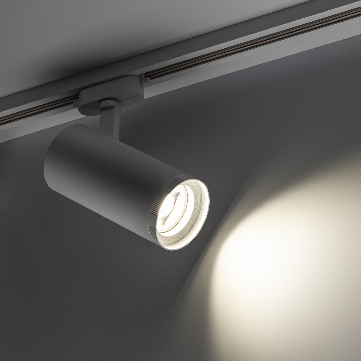 Трековый однофазный светильник Ritter Artline 59739 5 УЦ